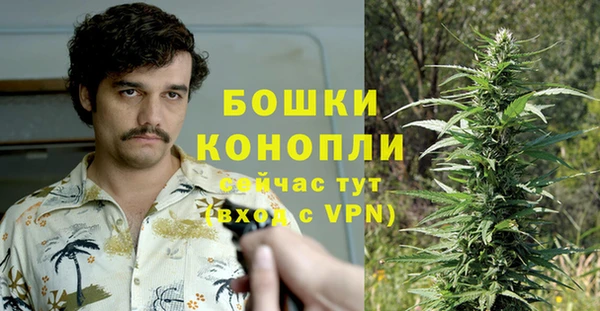 PSILOCYBIN Бугульма